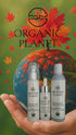 Organic Maple Grove Bundle – Sensitive Skin Cleanser, Elastin Boost Serum & Firming Moisturizer to gently cleanse, preserve elastin, and firm skin naturally.